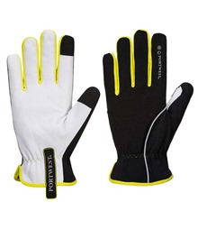 PW3 Winter Glove