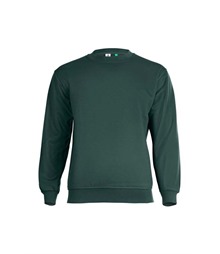 Eco Sweatshirt