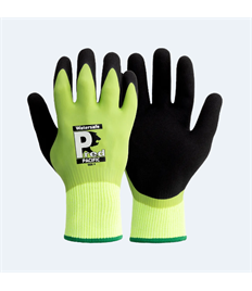PRED Pacific Waterproof Cut C Gloves (Pack 10 Pairs)